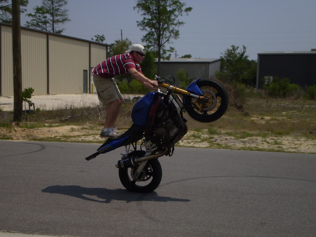 Name:  P5060408.jpg
Views: 7
Size:  116.9 KB