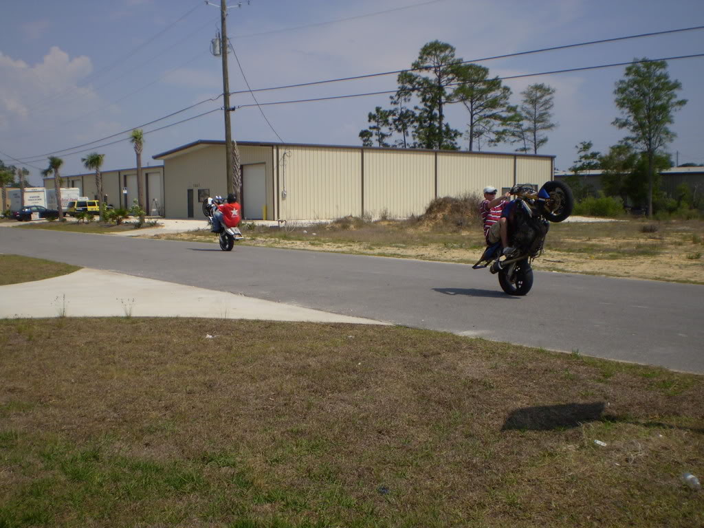 Name:  P5060479.jpg
Views: 6
Size:  153.3 KB