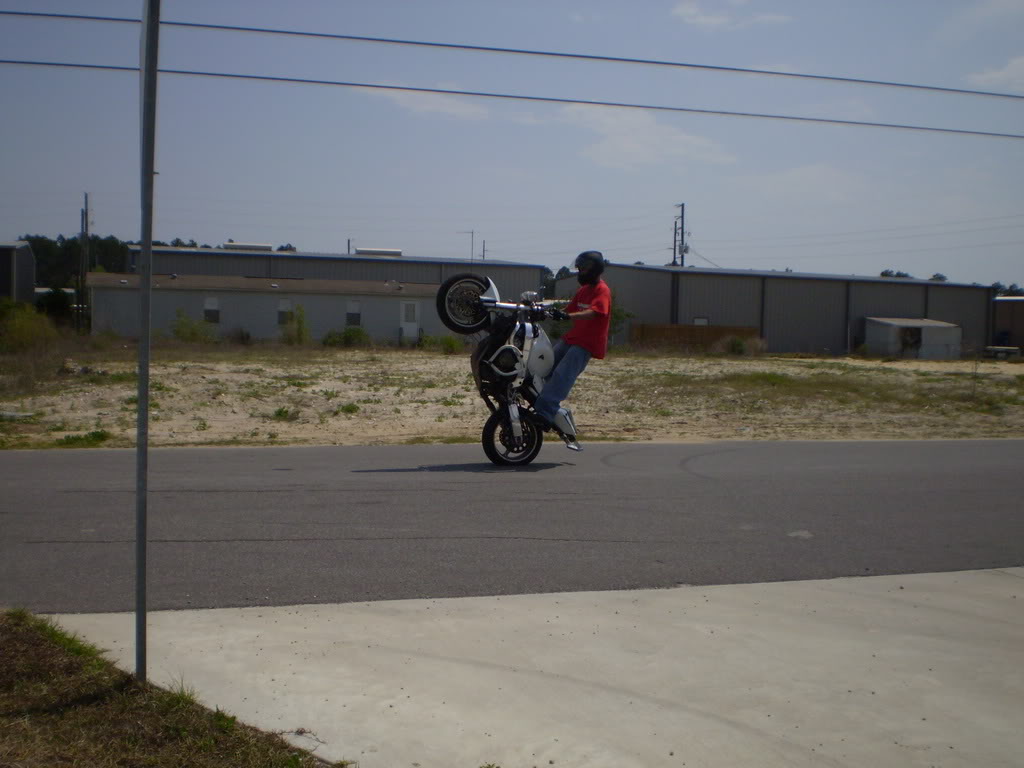 Name:  P5060466.jpg
Views: 6
Size:  84.6 KB