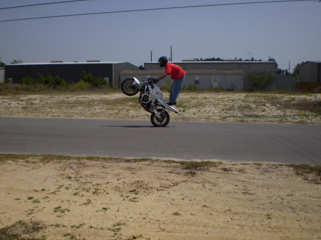 Name:  P5060452.jpg
Views: 6
Size:  125.9 KB