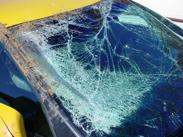 Name:  CORVETTE9.jpg
Views: 9
Size:  34.9 KB