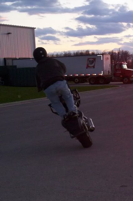 Name:  000_0124.jpg
Views: 7
Size:  30.3 KB