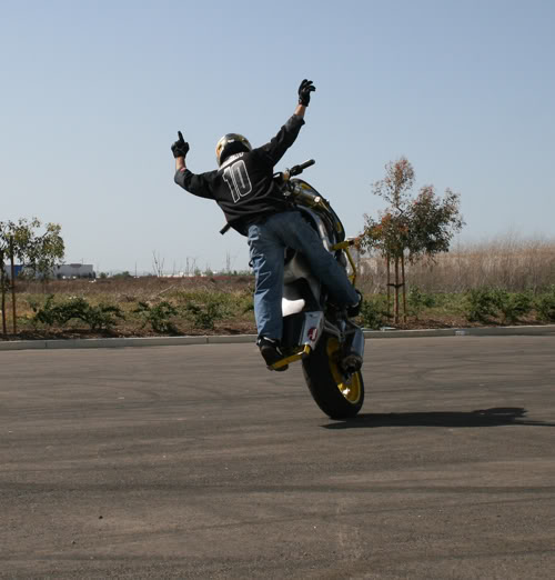 Name:  IMG_3677--500.jpg
Views: 10
Size:  45.2 KB