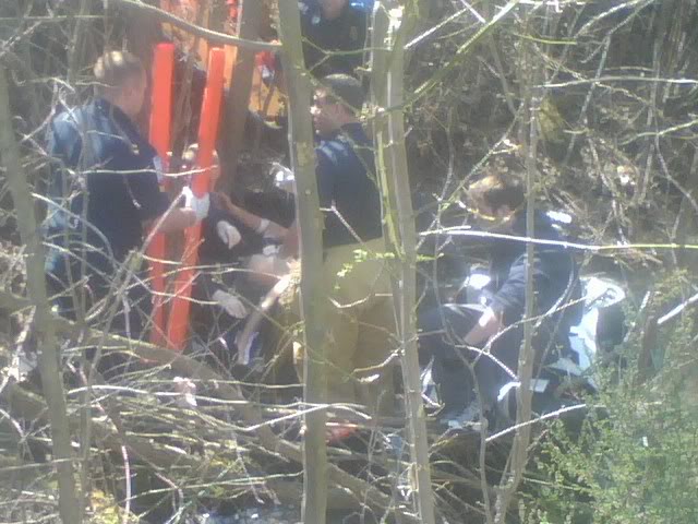 Name:  ravine2.jpg
Views: 11
Size:  69.5 KB