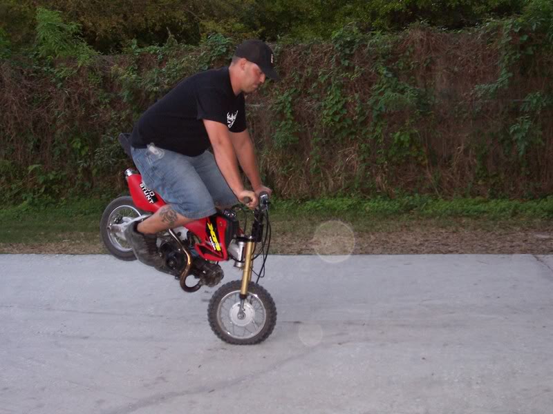 Name:  ballin011.jpg
Views: 8
Size:  79.3 KB