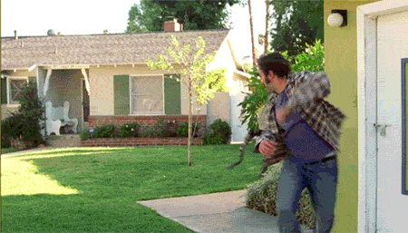 Name:  breakmystride.gif
Views: 4
Size:  1.16 MB
