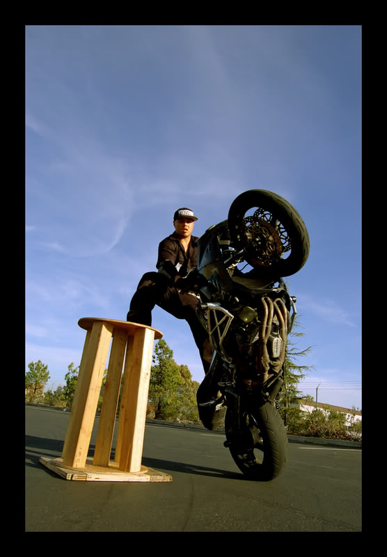 Name:  bullowheeliestall.jpg
Views: 508
Size:  63.0 KB