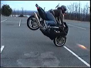 Name:  stinastunt.jpg
Views: 6
Size:  13.2 KB