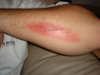 Name:  Zephyrs.jpg
Views: 12
Size:  10.8 KB