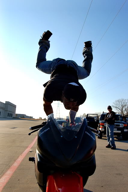 Name:  DSC_3955.jpg
Views: 9
Size:  70.1 KB