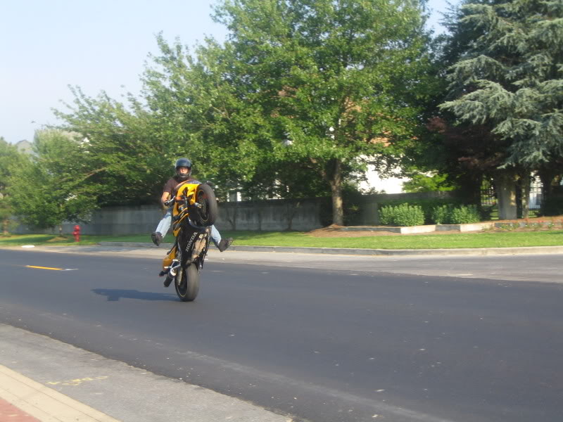 Name:  IMG_05421.jpg
Views: 24
Size:  90.9 KB