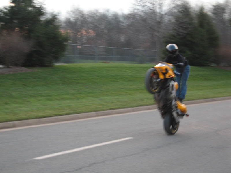 Name:  Picture086.jpg
Views: 24
Size:  34.8 KB