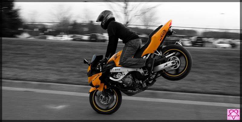 Name:  meendoo.jpg
Views: 23
Size:  45.9 KB