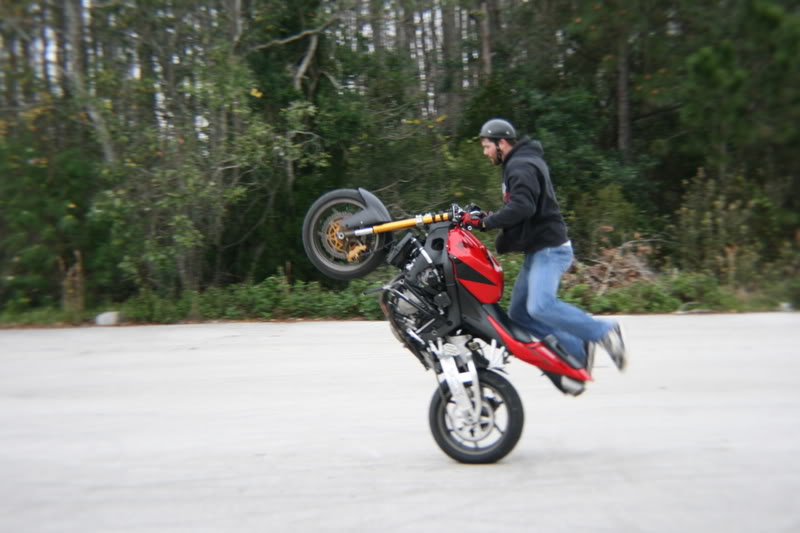 Name:  2-5-07095.jpg
Views: 7
Size:  61.8 KB