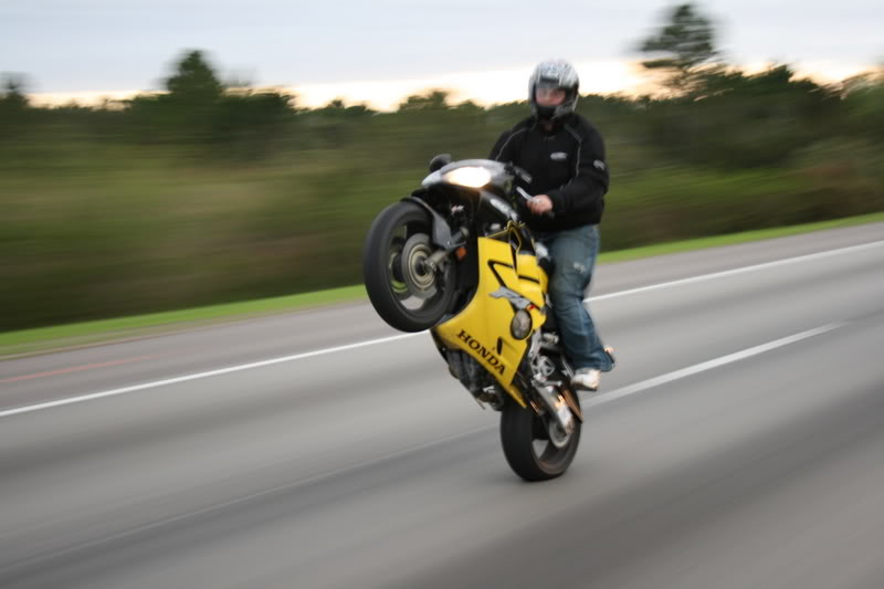 Name:  stuntwars1-11-07334.jpg
Views: 7
Size:  41.8 KB