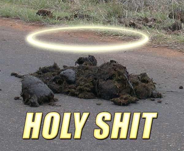 Name:  holy_shit.jpg
Views: 14
Size:  44.8 KB
