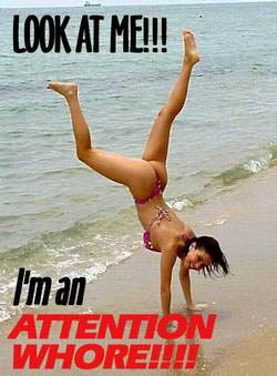 Name:  main.jpg
Views: 26
Size:  25.4 KB