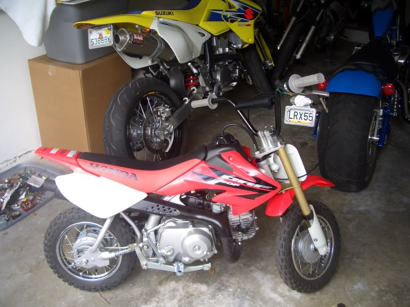 Name:  CIMG1935.jpg
Views: 7
Size:  120.0 KB