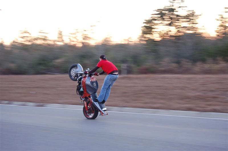 Name:  new200032028Medium29.jpg
Views: 8
Size:  37.7 KB