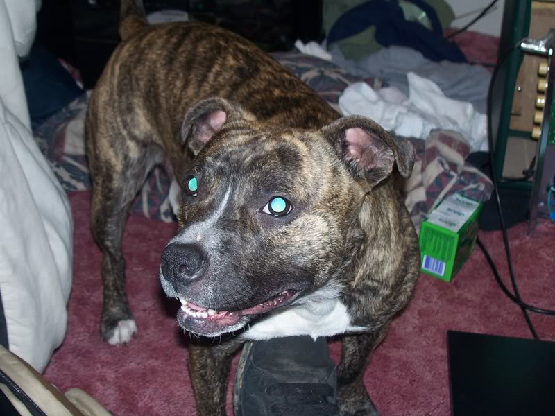 Name:  Picture004.jpg
Views: 12
Size:  85.3 KB