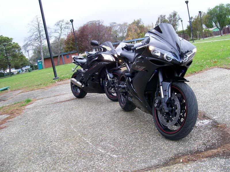 Name:  ravenphotoshoot14.jpg
Views: 17
Size:  126.4 KB