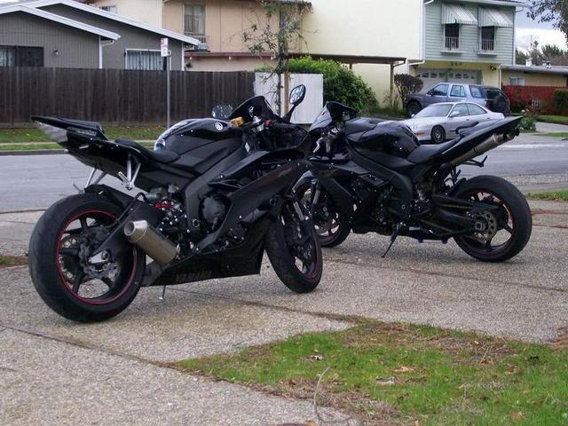 Name:  ravenphotoshoot6.jpg
Views: 22
Size:  69.5 KB