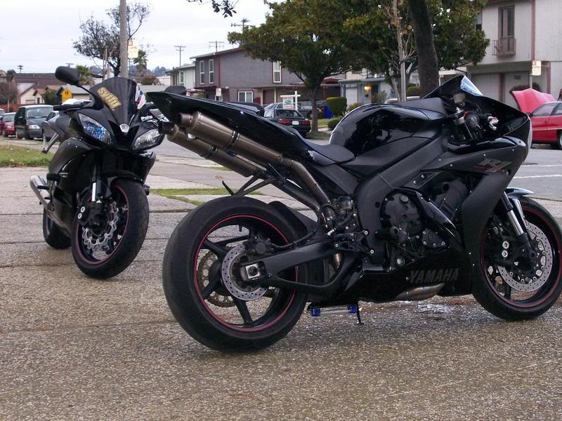 Name:  ravenphotoshoot5.jpg
Views: 13
Size:  112.5 KB