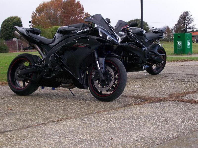 Name:  ravenphotoshoot4.jpg
Views: 10
Size:  109.2 KB