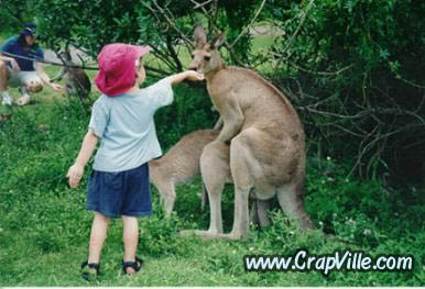 Name:  kangaroofook.jpg
Views: 5
Size:  26.6 KB