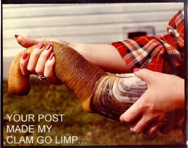 Name:  clamlimpsmall.jpg
Views: 6
Size:  54.5 KB