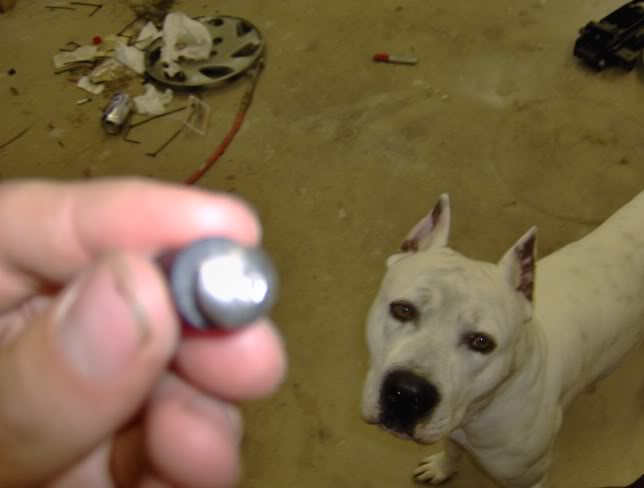 Name:  24151b72.jpg
Views: 10
Size:  23.4 KB