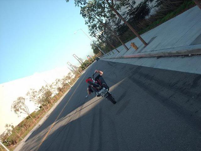 Name:  fiftyriding003.jpg
Views: 8
Size:  49.7 KB