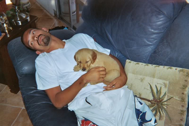 Name:  009_6A_00.jpg
Views: 8
Size:  61.9 KB