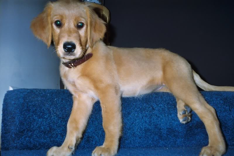 Name:  003_0A.jpg
Views: 7
Size:  58.5 KB