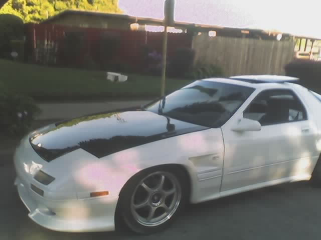 Name:  firstlove1.jpg
Views: 8
Size:  26.0 KB