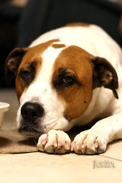 Name:  mickeyfloor.jpg
Views: 10
Size:  32.3 KB