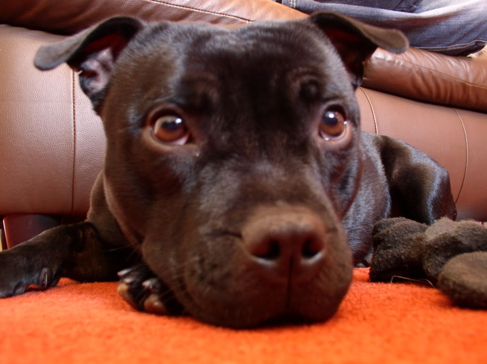 Name:  Picture056.jpg
Views: 6
Size:  80.7 KB