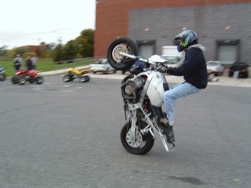 Name:  seatcoast.gif
Views: 10
Size:  84.0 KB