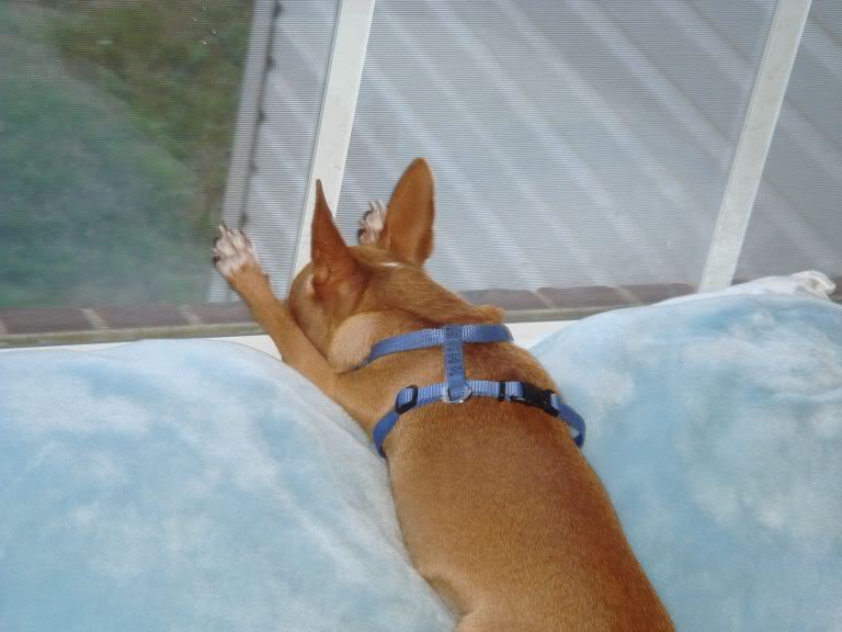 Name:  DSC00177.jpg
Views: 9
Size:  48.1 KB