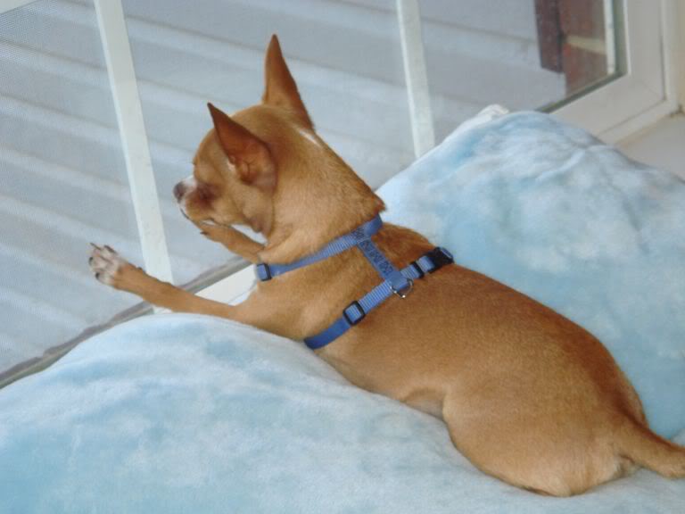 Name:  DSC00179.jpg
Views: 18
Size:  39.7 KB