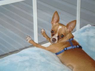 Name:  DSC00178.jpg
Views: 13
Size:  12.8 KB