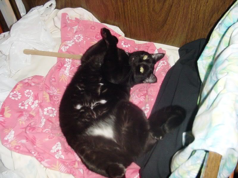 Name:  068_68.jpg
Views: 9
Size:  62.2 KB