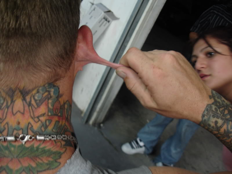 Name:  jaxpaint022.jpg
Views: 17
Size:  54.1 KB