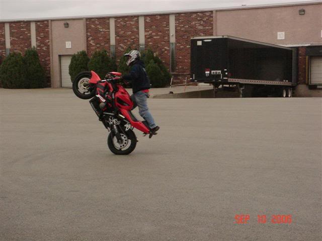 Name:  DSC00568.jpg
Views: 6
Size:  34.2 KB