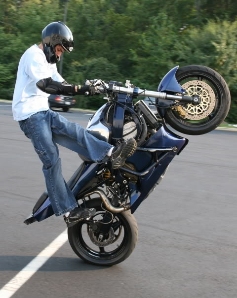 Name:  Stunt11.jpg
Views: 7
Size:  64.5 KB