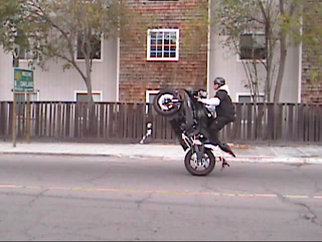 Name:  bulloo6.jpg
Views: 6
Size:  35.8 KB