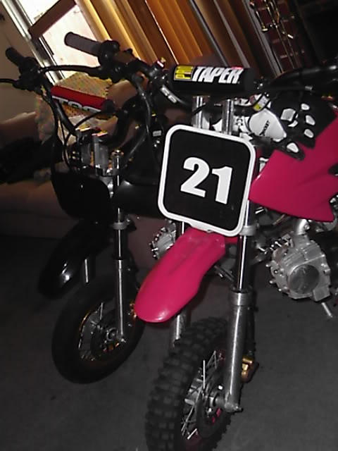 Name:  chinkisbetta2.jpg
Views: 6
Size:  46.7 KB