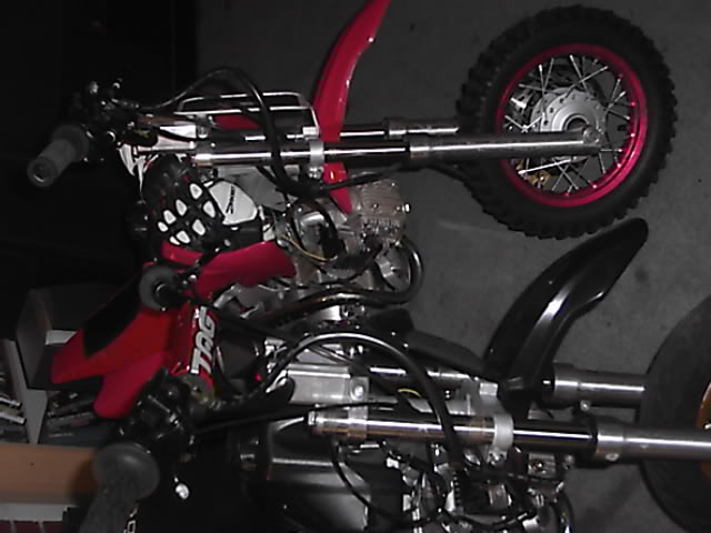 Name:  chinkisbetta3.jpg
Views: 6
Size:  44.6 KB