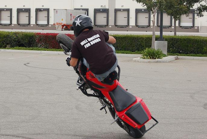 Name:  frogcircles.jpg
Views: 12
Size:  54.4 KB