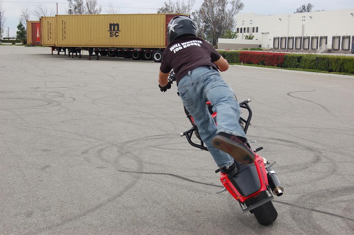 Name:  flamingocircle-1.jpg
Views: 14
Size:  174.3 KB